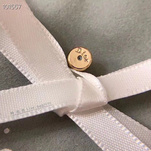 Dior飾品 迪奧2021熱銷款五角星耳釘 時尚經典款耳環  zgd1194